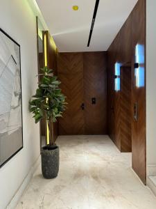 Modern Studios Featured