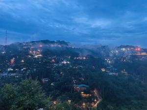 Cú Trên Cây Homestay