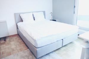 Fantastic studio in the city centre - Art 8