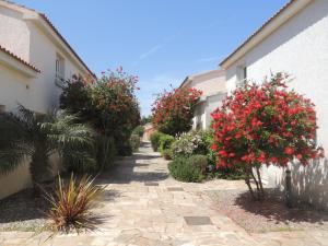 Maisons de vacances Mini villa T2, 200 m de la plage, piscine chauffee, jardin : photos des chambres