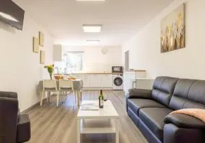 L'îlot Narrossais - Idéal Curistes - 7 - Yzosse