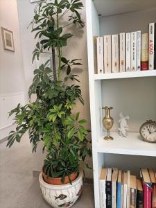 Casa Vacanze Annunziata Relax