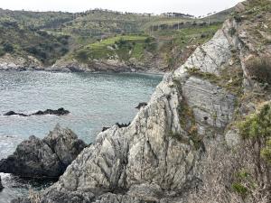 Appartements T2 appartment with sea view and swimmimg pool. : photos des chambres