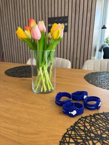 Mirador Lago Azul - Santa Rosalia Lake & Life Resort, heated pool, gym, ground floor, terrace, garden