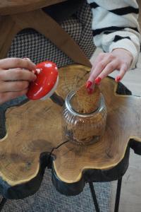 NOOK Kopaonik Luxury Apart & House