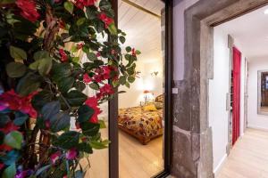 Appartements Appartement chaleureux a Annecy, 63 m², cheminee : photos des chambres