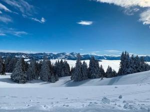 Appartements Appartement chaleureux a Annecy, 63 m², cheminee : photos des chambres