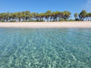 Residence Piazzetta a Mare