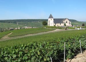 Vendangeoir du gîte du clos pommier