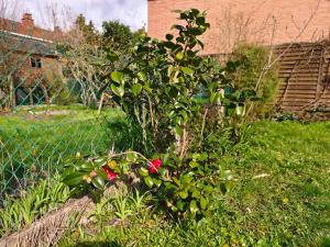 Maisons de vacances Amazing house 4 bedrooms parking close to Lille : Maison 4 Chambres