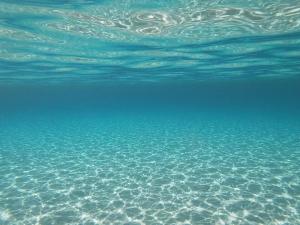 Sagittario House img27