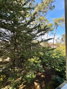 Appartement à 300m de la plage