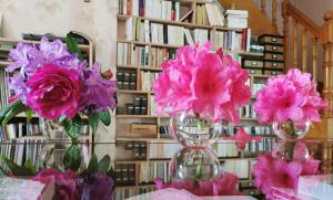 Villas Maison a 1 min du port de Vannes : photos des chambres