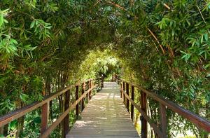 Delta Eco Resort & Spa