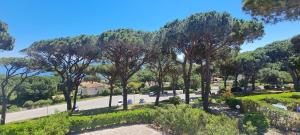 Beautiful apartment with pool in Sainte-Maxime