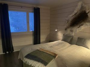 Holy Moly by Hilla Villas