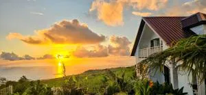 Case Tortue - chambres chez l'habitant - 3 étoiles - 圣勒