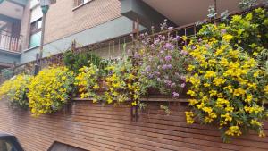 Appartamento Isabella