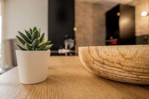 Appartements Moundi Piscine-parking-balcon Proche Hippodrome : photos des chambres