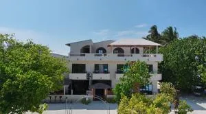 Summer Luna - 图鲁斯杜