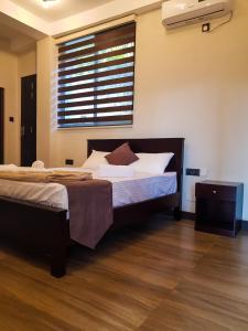 Lush Breeze Mount View