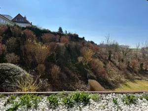 Ferienbutze Harz Drachenperle - Sonnenstein