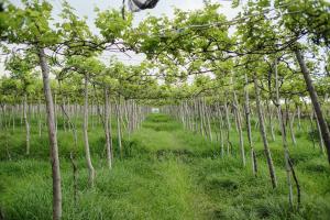 1 Br Riverside Retreat Private Cabin in Nature