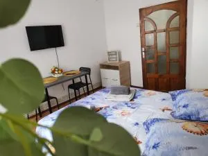 Studio STEFAN Campulung Muscel - Colnic