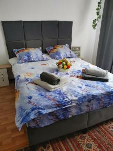 Studio STEFAN Campulung Muscel