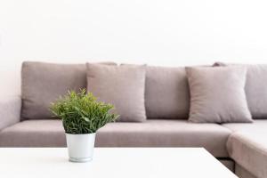 Super Loft Plazamar Torre del Mar 2 Huésped Playa