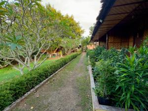 Cecilias Garden Guesthouse