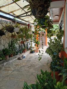 La Villa de Victor