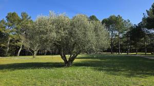 Domaine familial avec grand parc et piscine