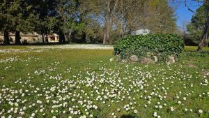 Maisons de vacances Domaine familial avec grand parc et piscine : photos des chambres