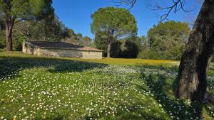 Maisons de vacances Domaine familial avec grand parc et piscine : photos des chambres