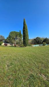 Maisons de vacances Domaine familial avec grand parc et piscine : photos des chambres