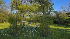 Maisons de vacances Domaine familial avec grand parc et piscine : photos des chambres