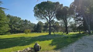 Maisons de vacances Domaine familial avec grand parc et piscine : photos des chambres