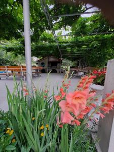 Gordana Apartments