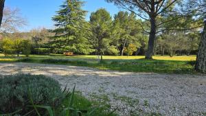 Maisons de vacances Domaine familial avec grand parc et piscine : photos des chambres