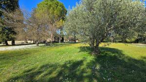 Maisons de vacances Domaine familial avec grand parc et piscine : photos des chambres