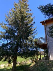Chalets Chalet authentique au calme, en lisiere de foret, montagne, sentiers 15mn Gerardmer & Alsace 