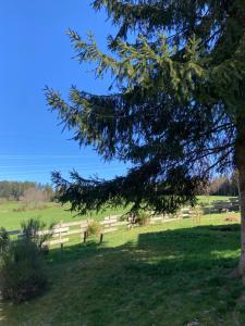 Chalets Chalet authentique au calme, en lisiere de foret, montagne, sentiers 15mn Gerardmer & Alsace 