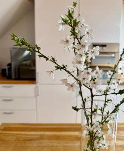 Kralova Apartment in Modra