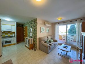 El Señorio de la Concha