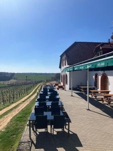 Hotel a vinařství Sádek