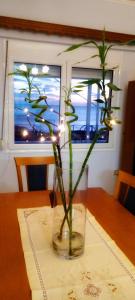 Zoes Villa - Entire Villa Rental with Stunning Aegean Sea views!