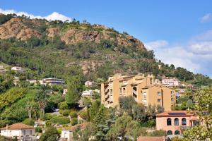 Appartements Renovated 2-room apartment near sea & shops : Appartement 1 Chambre