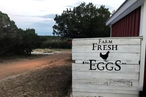 Secluded, Quiet 1B1B Luxury Private Farm Stay in Fischer, TX