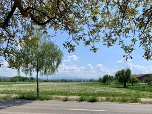 Bright, comfy, industrial looking